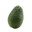 Palta
