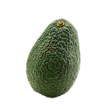 Palto