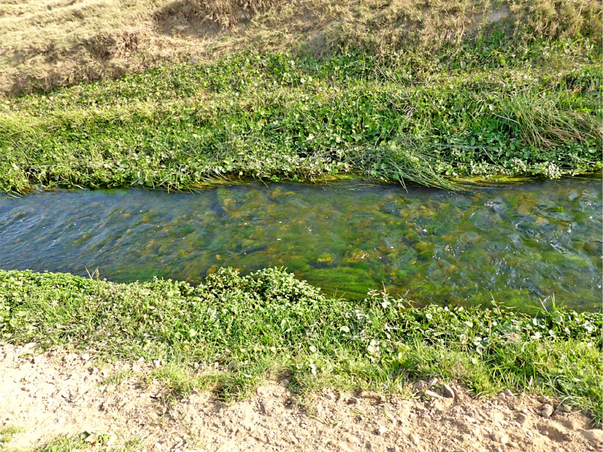 Calidad del Agua de Riego en la Agricultura