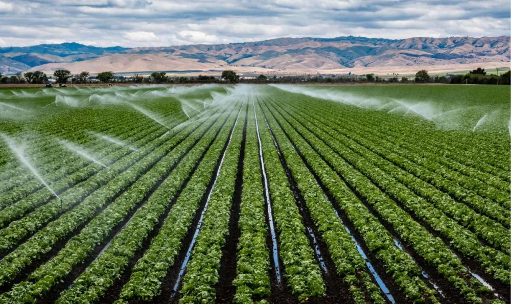 El Agua de Riego y la Salinización de los Suelos en la Costa Peruana