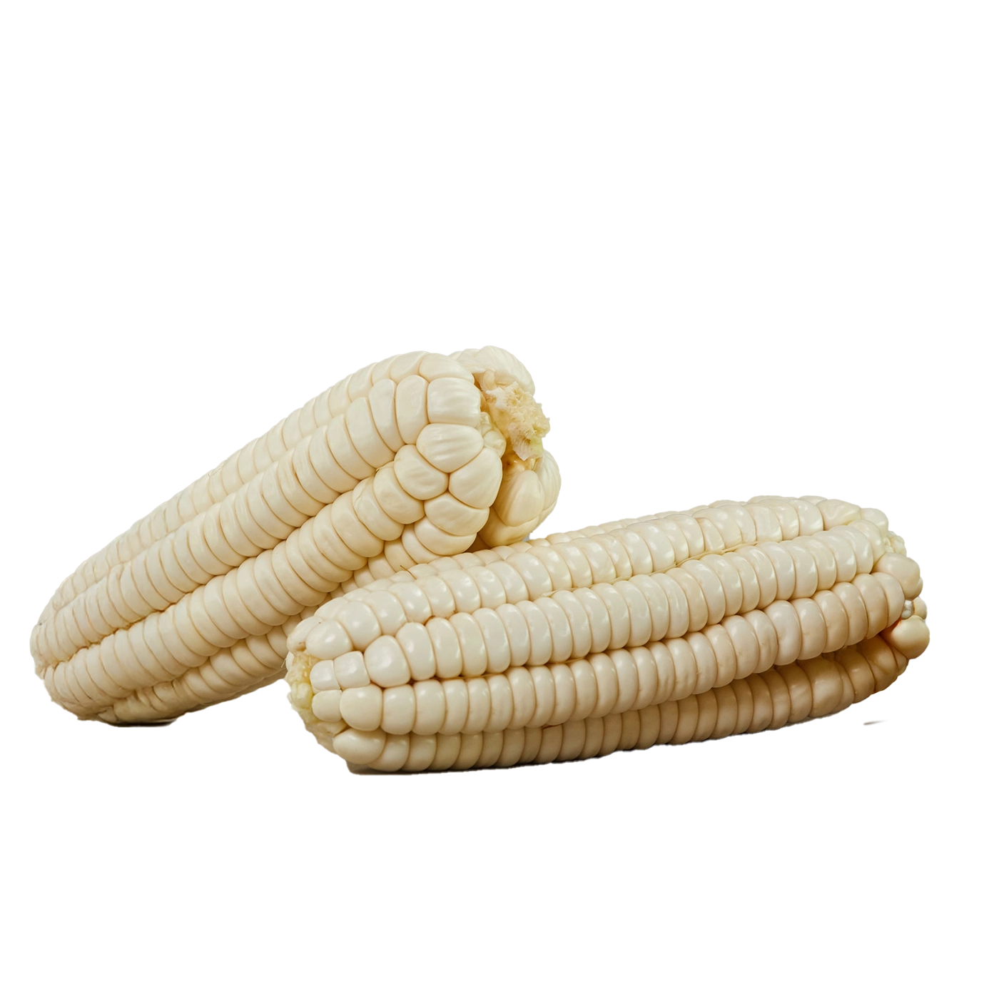 Maiz