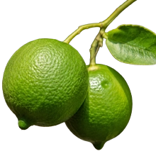 Limón