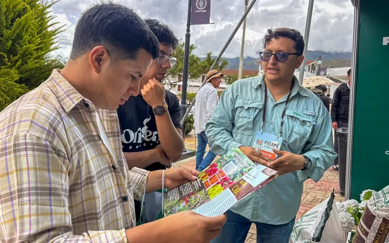 Artículos científicos