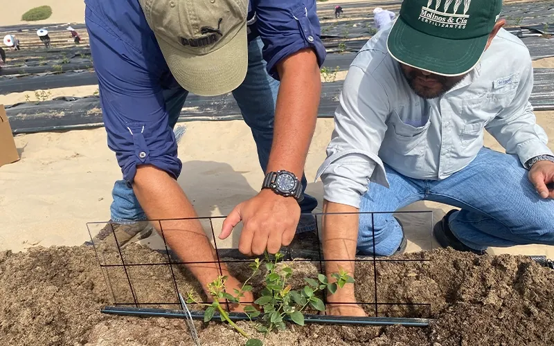 Artículos técnicos