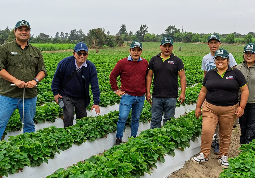 Buenas prácticas agrícolas