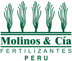 Molinos & Cía