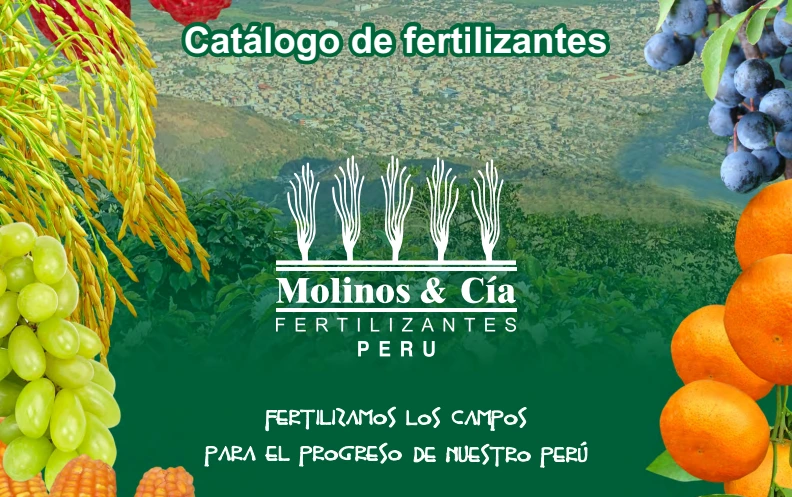 Catálogo de productos