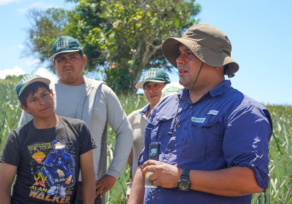 Programas con agricultores