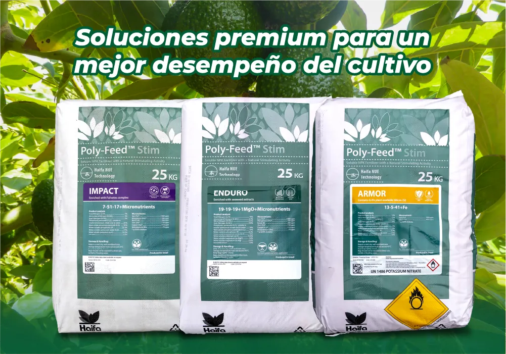 Tecnología aplicada